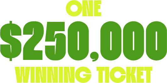 One $250,000 Winning Ticket